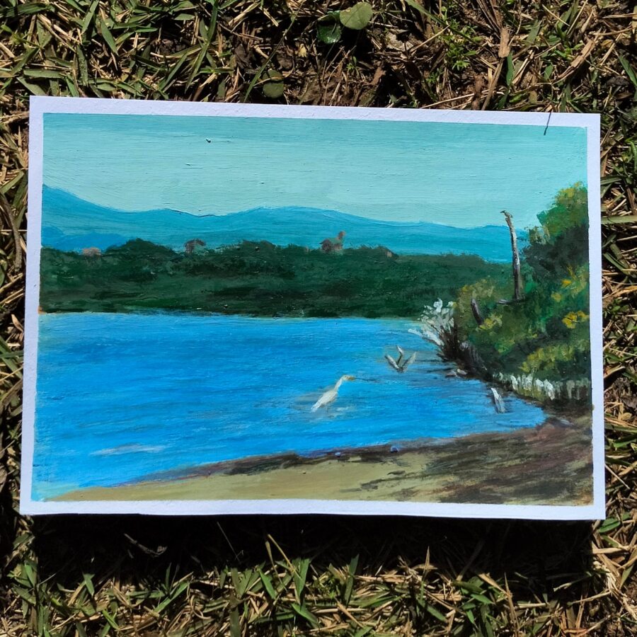 Garça na barra